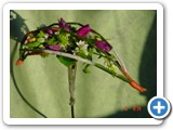 Imagen 780