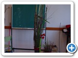 Imagen 806