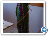 Imagen 807
