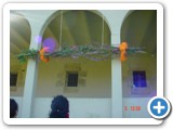 Imagen 813