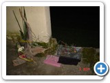 Imagen 815