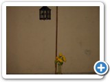 Imagen 817