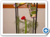 Imagen 823