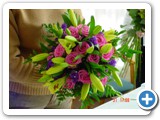 Imagen 869