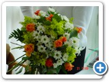 Imagen 870