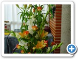 Imagen 872