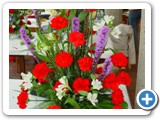 Imagen 875