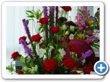 Imagen 877
