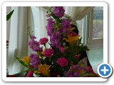 Imagen 880