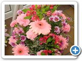 Imagen 888