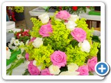 Imagen 891