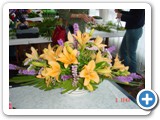 Imagen 898