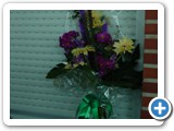 Imagen 905