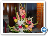 Imagen 947