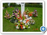 Imagen 950