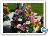 Imagen 957
