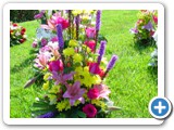 Imagen 959