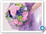 wedding belle 3