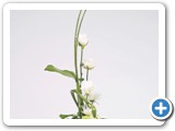 white arrangement May 1